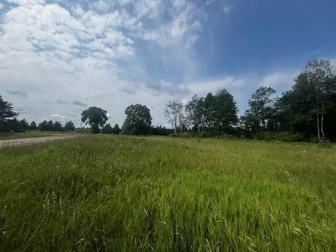Vl - Par B 17 Mile, Bitely, MI 49309 photo 4