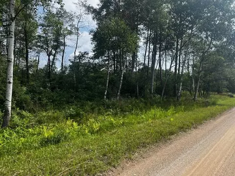 Vl - Par B 17 Mile, Bitely, MI 49309 photo 20