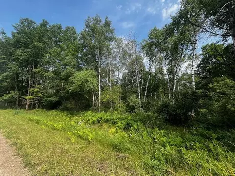 Vl - Par B 17 Mile, Bitely, MI 49309 photo 13