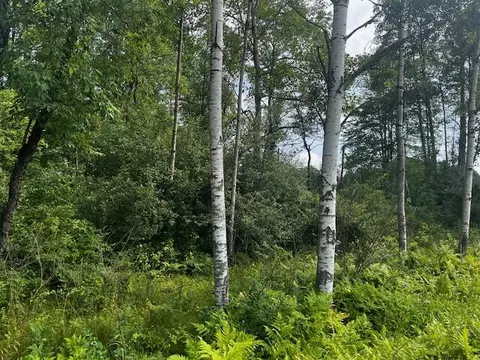 Vl - Par B 17 Mile, Bitely, MI 49309 photo 16