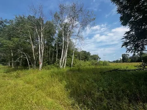 Vl - Par B 17 Mile, Bitely, MI 49309 photo 8