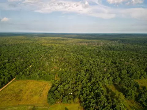 40 S Acres S Barberry, Newaygo, MI 49337 photo 8