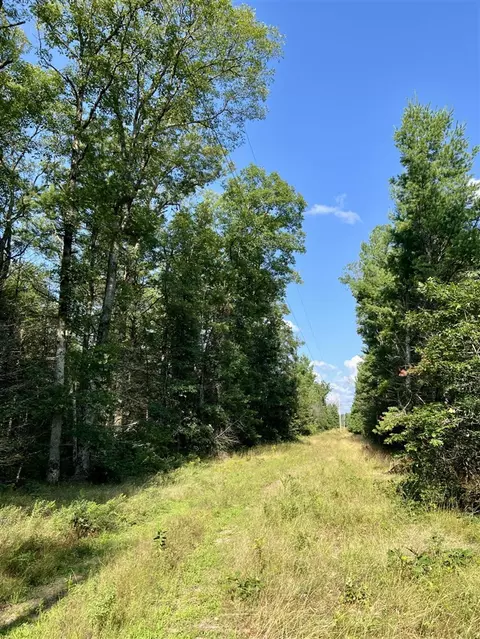 40 S Acres S Barberry, Newaygo, MI 49337 photo 4