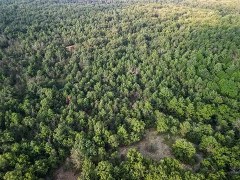 40 S Acres S Barberry, Newaygo, MI 49337 photo 11
