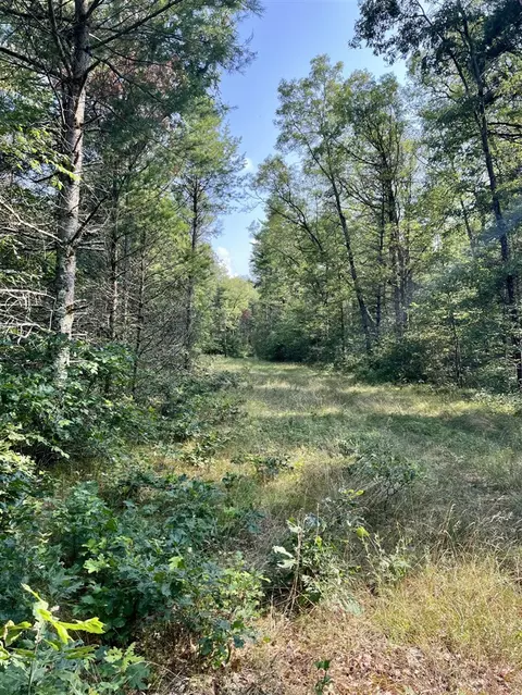 40 S Acres S Barberry, Newaygo, MI 49337 photo 3