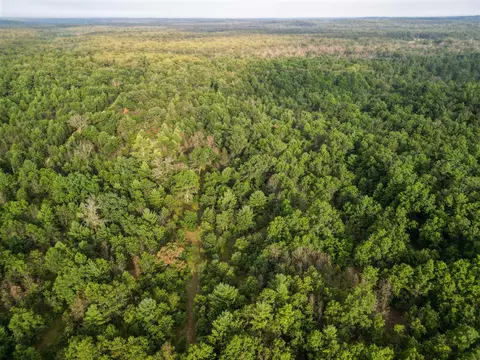 40 S Acres S Barberry, Newaygo, MI 49337 photo 10