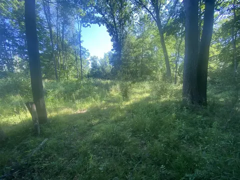 Pinecrest, Jonesville, MI 49250