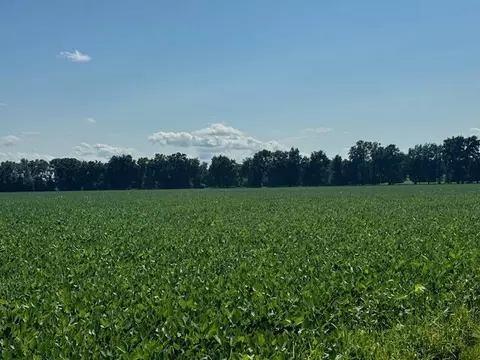 River, Coldwater, MI 49036