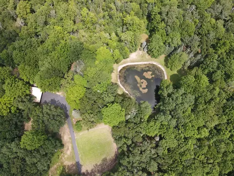 View/Area - 7227 Greenwood Rd, Gladwin, MI 48624 photo 9 of 12