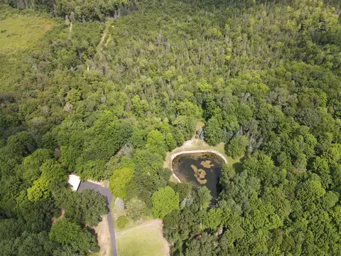 View/Area - 7227 Greenwood Rd, Gladwin, MI 48624 photo 8 of 12