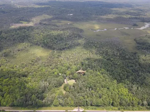 View/Area - 7227 Greenwood Rd, Gladwin, MI 48624 photo 6 of 12
