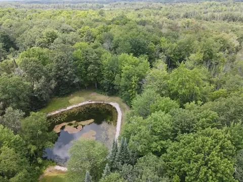 View/Area - 7227 Greenwood Rd, Gladwin, MI 48624 photo 10 of 12