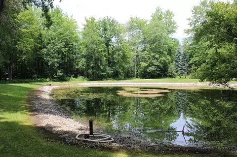 View/Area - 7227 Greenwood Rd, Gladwin, MI 48624 photo 2 of 12