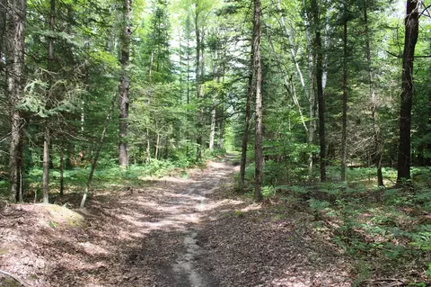 Other - 7227 Greenwood Rd, Gladwin, MI 48624 photo 24 of 26