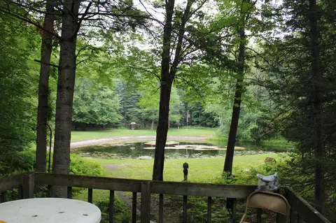Other - 7227 Greenwood Rd, Gladwin, MI 48624 photo 12 of 26