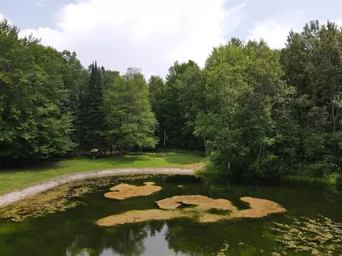 View/Area - 7227 Greenwood Rd, Gladwin, MI 48624 photo 11 of 12