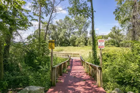 6 Catamaran, Cassopolis, MI 49031 photo 5