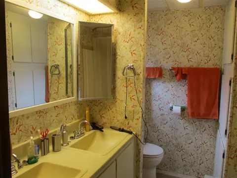 6200 Deaner, Edmore, MI 48829 photo 31