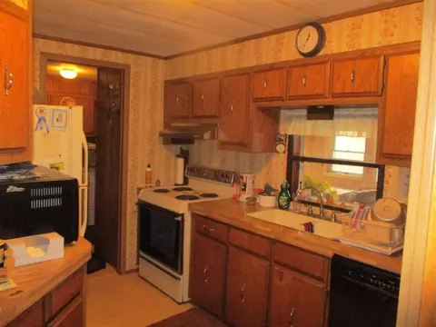6200 Deaner, Edmore, MI 48829 photo 14