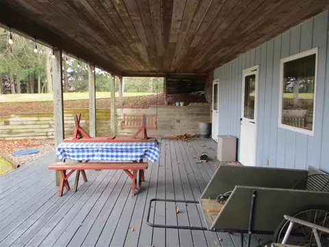6200 Deaner, Edmore, MI 48829 photo 47