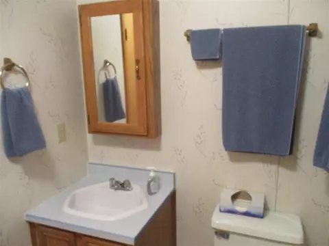 6200 Deaner, Edmore, MI 48829 photo 44