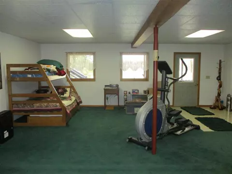 6200 Deaner, Edmore, MI 48829 photo 39