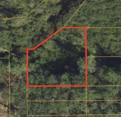V/l .2a Strathford, Baldwin, MI 49304 photo 10