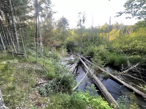 V/l .2a Strathford, Baldwin, MI 49304 photo 3