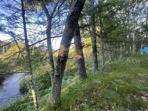V/l .2a Strathford, Baldwin, MI 49304 photo 7