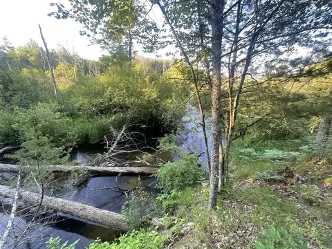 V/l .2a Strathford, Baldwin, MI 49304 photo 8