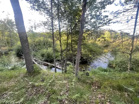 V/l .2a Strathford, Baldwin, MI 49304 photo 9