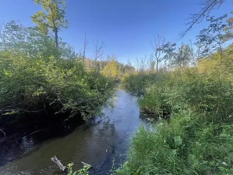 V/l .2a Strathford, Baldwin, MI 49304 photo 2