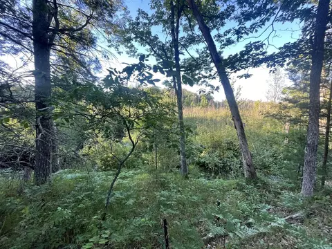 V/l .2a Strathford, Baldwin, MI 49304 photo 4
