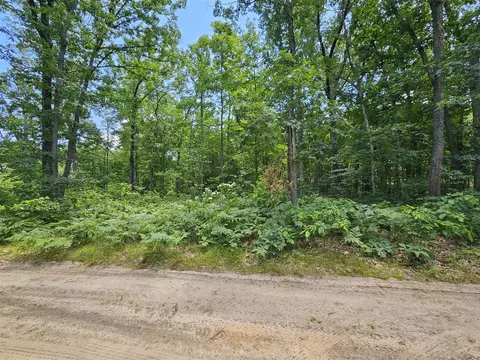 W Pinewood, Bitely, MI 49309 photo 3