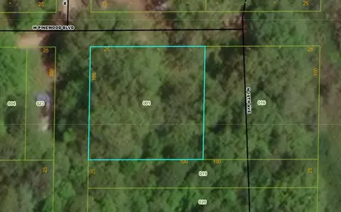 W Pinewood, Bitely, MI 49309 photo 6