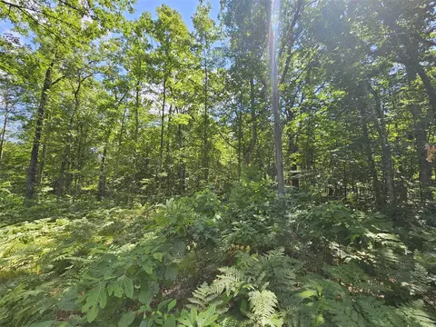 W Pinewood, Bitely, MI 49309