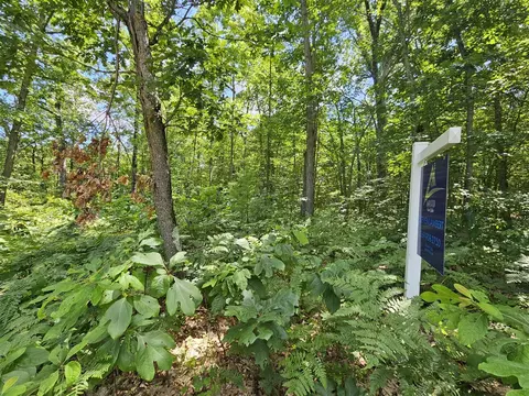 W Pinewood, Bitely, MI 49309 photo 4