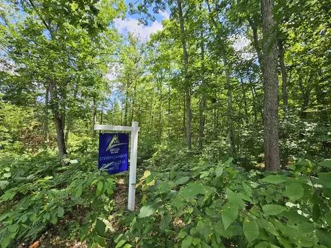 W Pinewood, Bitely, MI 49309 photo 5