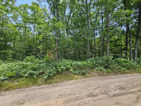 W Pinewood, Bitely, MI 49309 photo 2