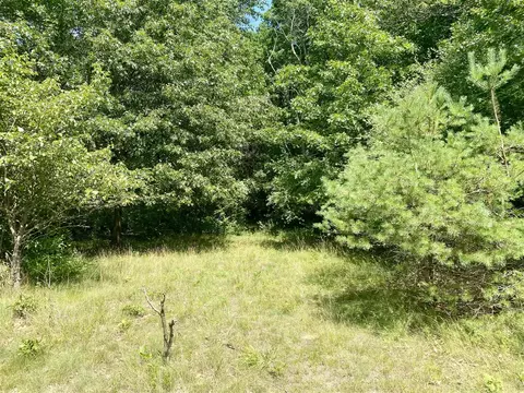 15 Acres Wall, Update, MI 49626 photo 11