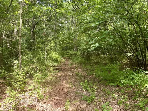 15 Acres Wall, Update, MI 49626 photo 12
