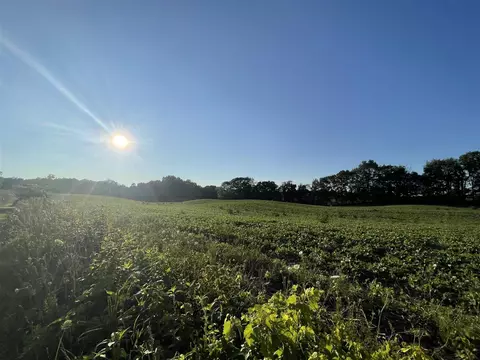 V/l 16th, Hopkins, MI 49328