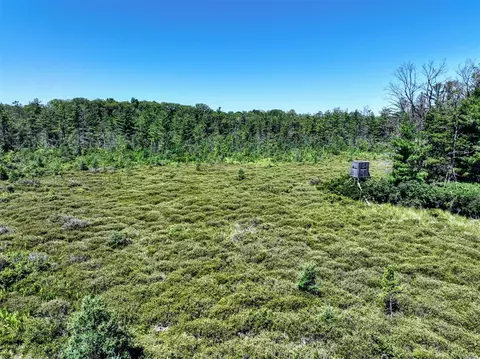 Vl Orchard Rd. Lot #Wp001, Delton, MI 49046