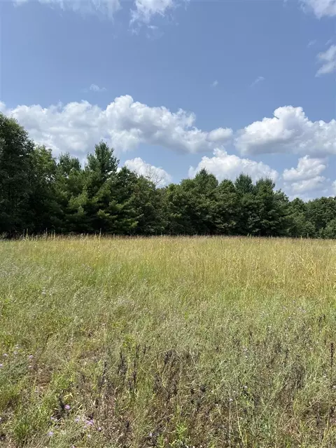 10 S Acres S Barberry, Newaygo, MI 49337 photo 4