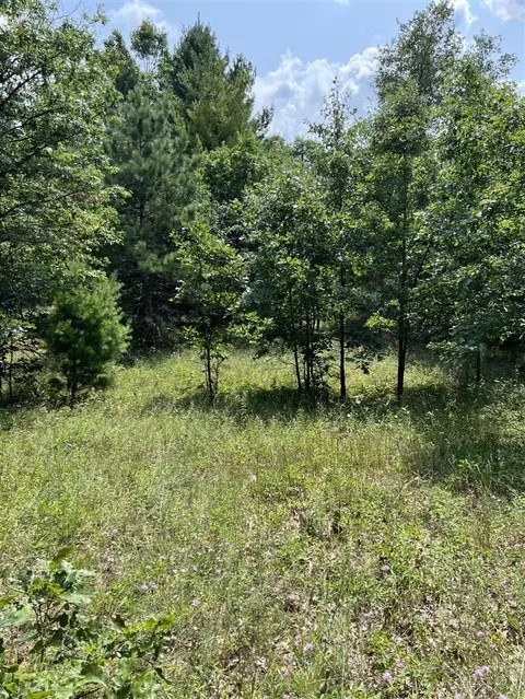 10 S Acres S Barberry, Newaygo, MI 49337 photo 3