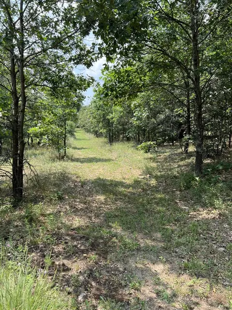 10 S Acres S Barberry, Newaygo, MI 49337 photo 6