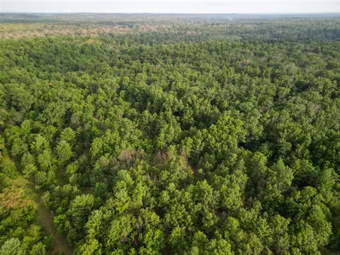10 S Acres S Barberry, Newaygo, MI 49337 photo 12