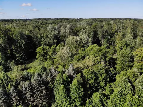 V/l 39th, Paw Paw, MI 49079