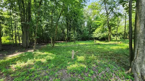 lot4 Leonard, Grand Rapids, MI 49534