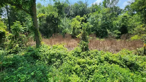 lot2 Leonard, Grand Rapids, MI 49534